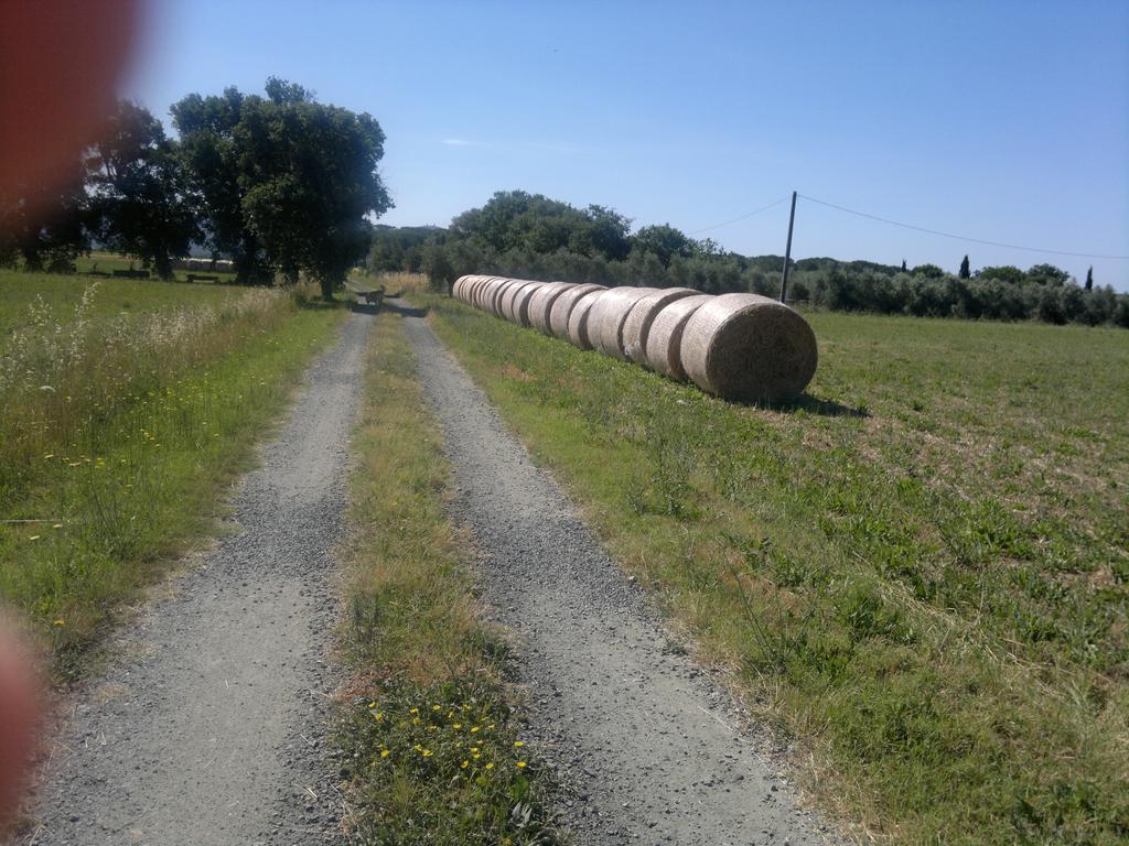 Agriturismo Il Selvello Le Versegge Kültér fotó