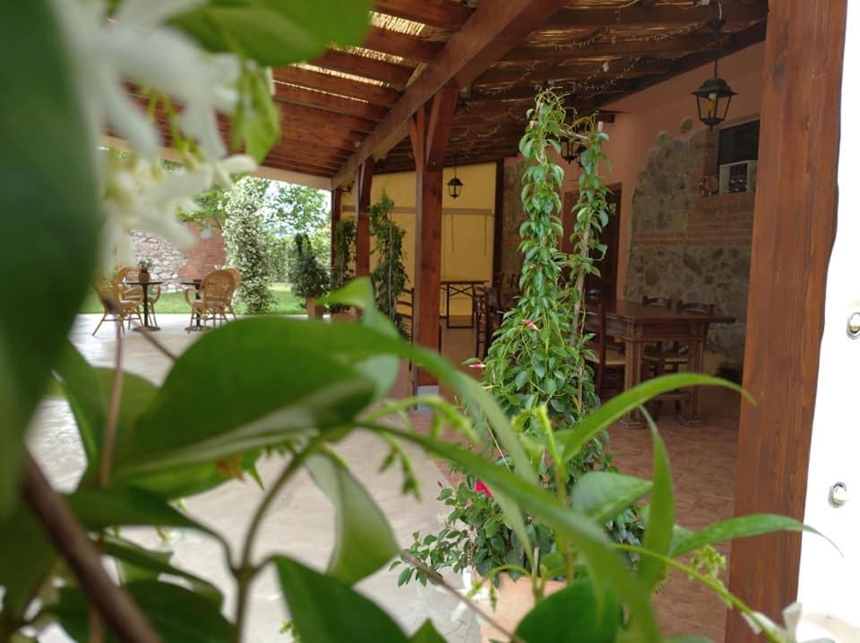 Agriturismo Il Selvello Le Versegge Kültér fotó