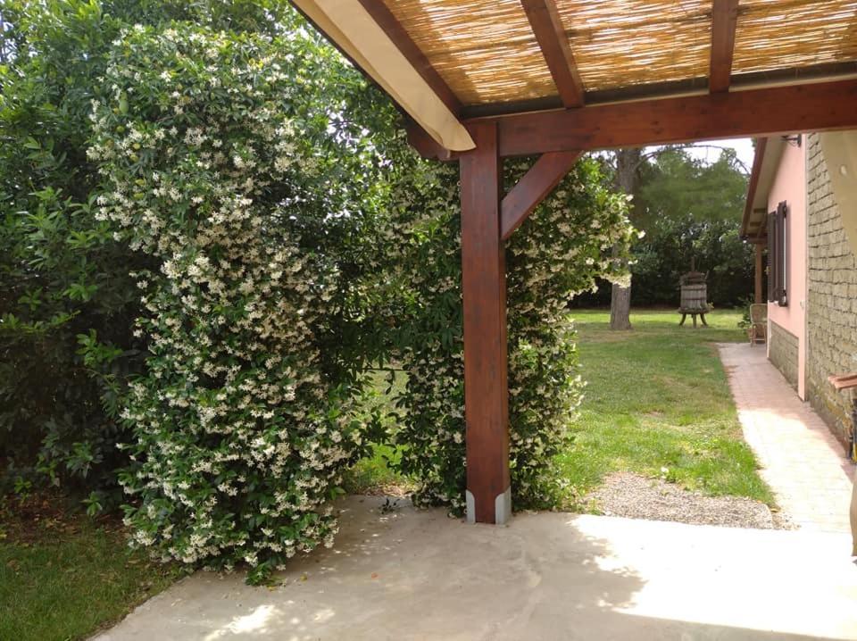 Agriturismo Il Selvello Le Versegge Kültér fotó